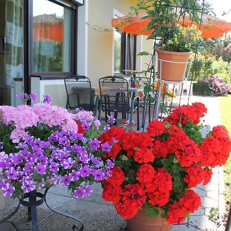 Daire - - Gaestehaus Gabriele Drobollach am Faakersee