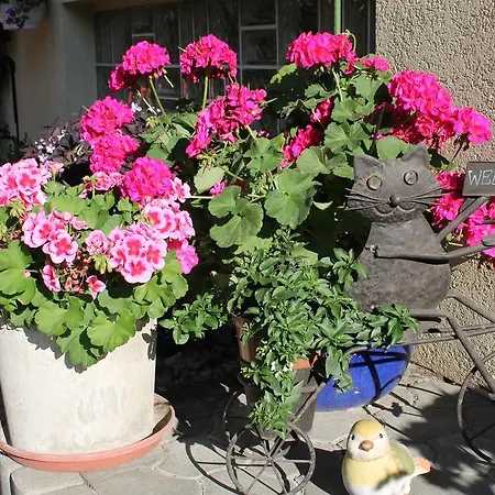 - - Gaestehaus Gabriele Daire