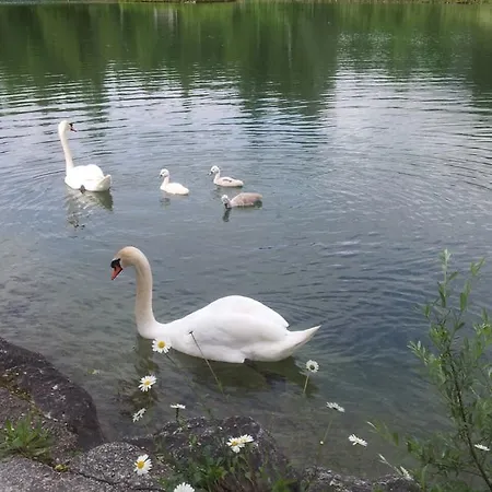 Daire - - Gaestehaus Gabriele Drobollach am Faakersee