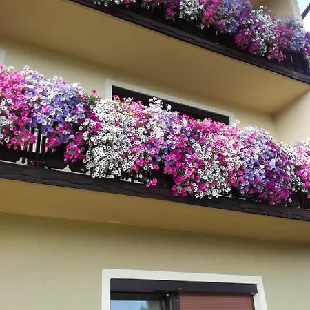 - - Gaestehaus Gabriele * Drobollach am Faakersee