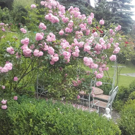 Apartmán - - Gaestehaus Gabriele
