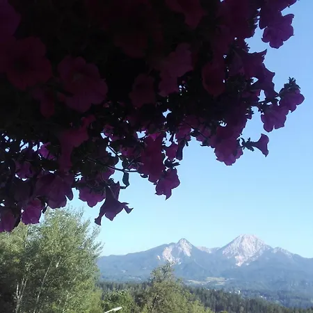 - - Gaestehaus Gabriele