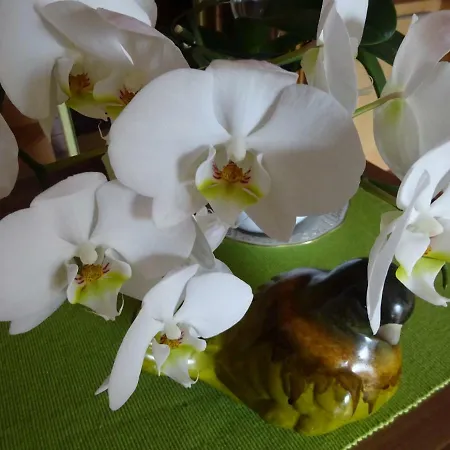 - - Gaestehaus Gabriele アパート ドロボラッハ・アム・ファーカーゼー