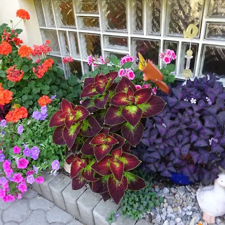 Daire - - Gaestehaus Gabriele *