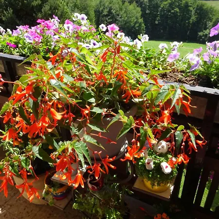 - - Gaestehaus Gabriele *