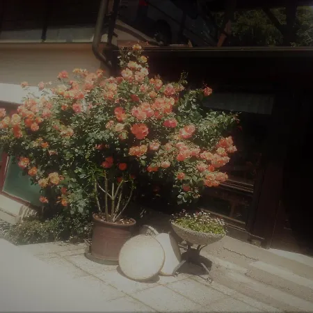 - - Gaestehaus Gabriele