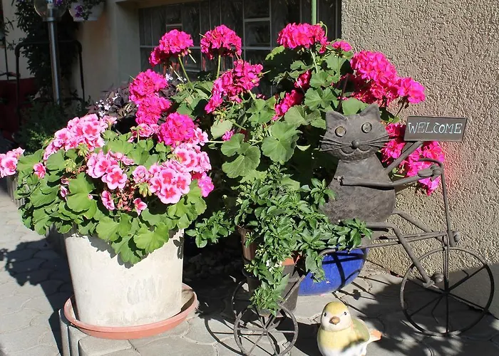 - - Gaestehaus Gabriele Apartament