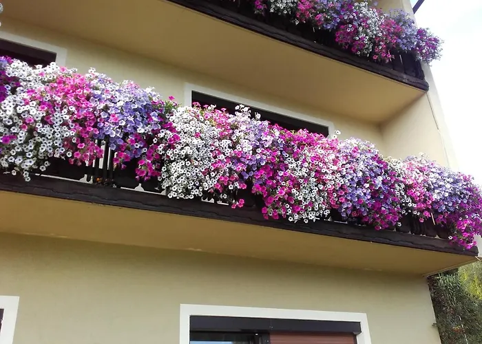 - - Gaestehaus Gabriele * Drobollach am Faakersee