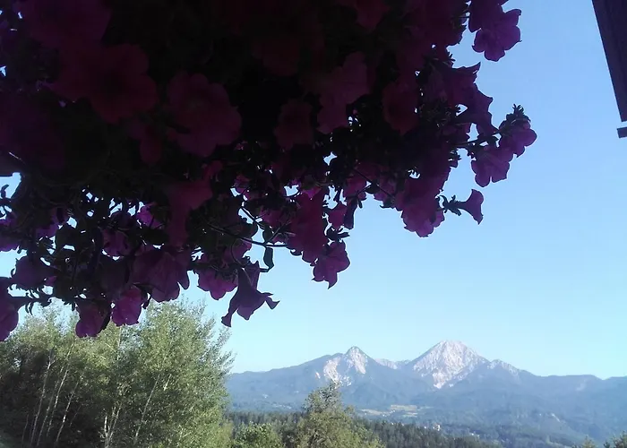 - - Gaestehaus Gabriele