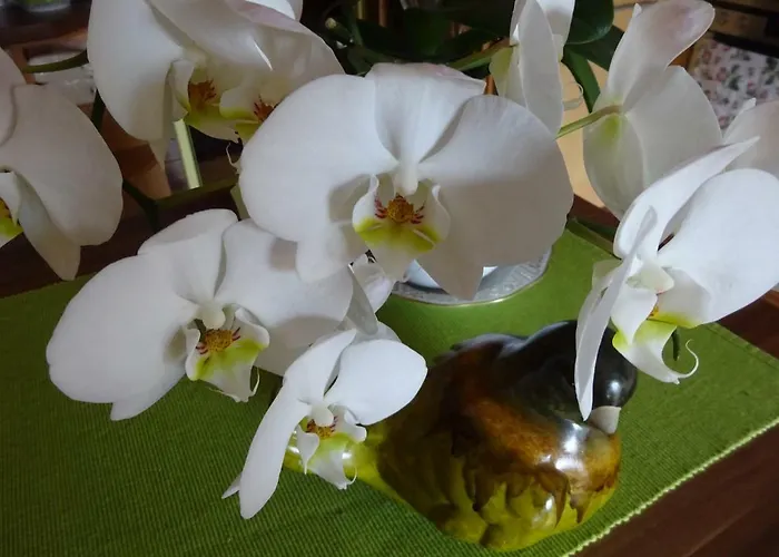 - - Gaestehaus Gabriele Apartament Drobollach am Faakersee