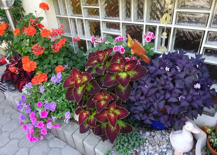 Apartament - - Gaestehaus Gabriele *