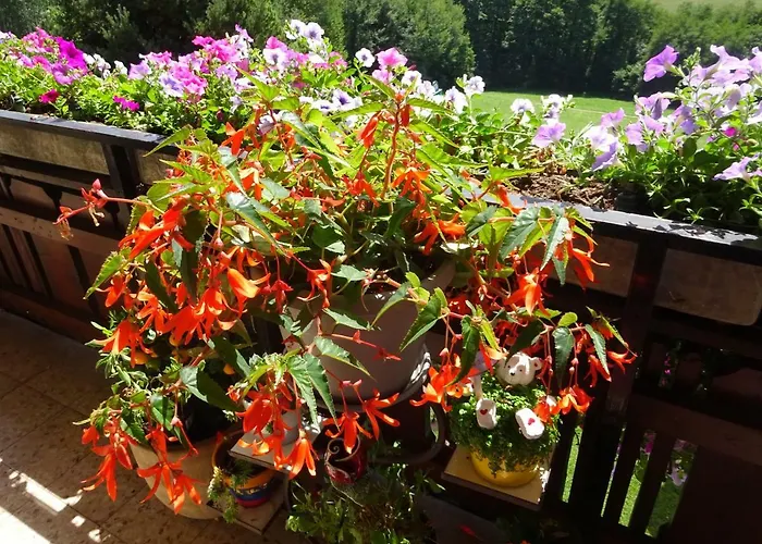 - - Gaestehaus Gabriele *